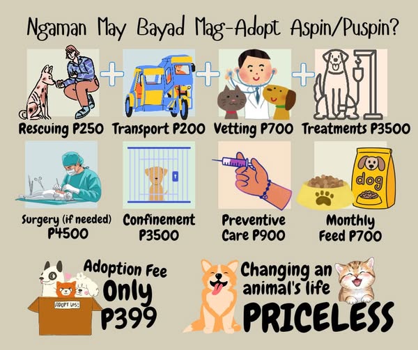 white and brown long coated small dog on green textile