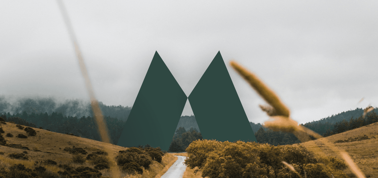 a minimal living room