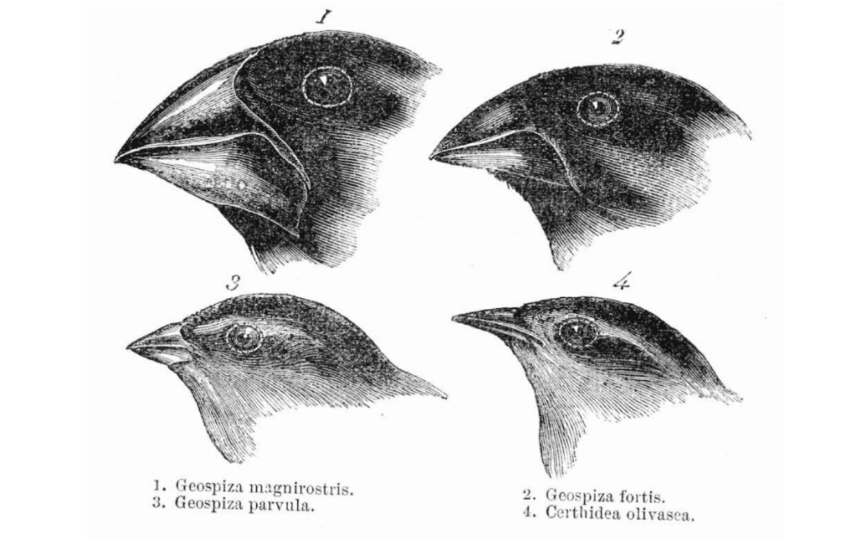 Isometrische Zeichnung eines Bauprojekts mit mehreren Gebäuden und markierten Strukturen in Rot