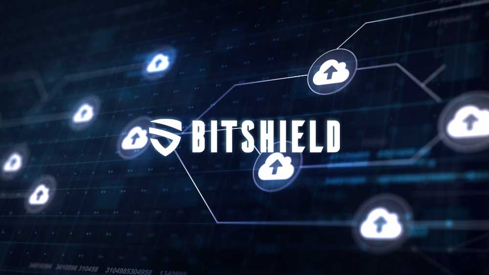 BITSHIELD