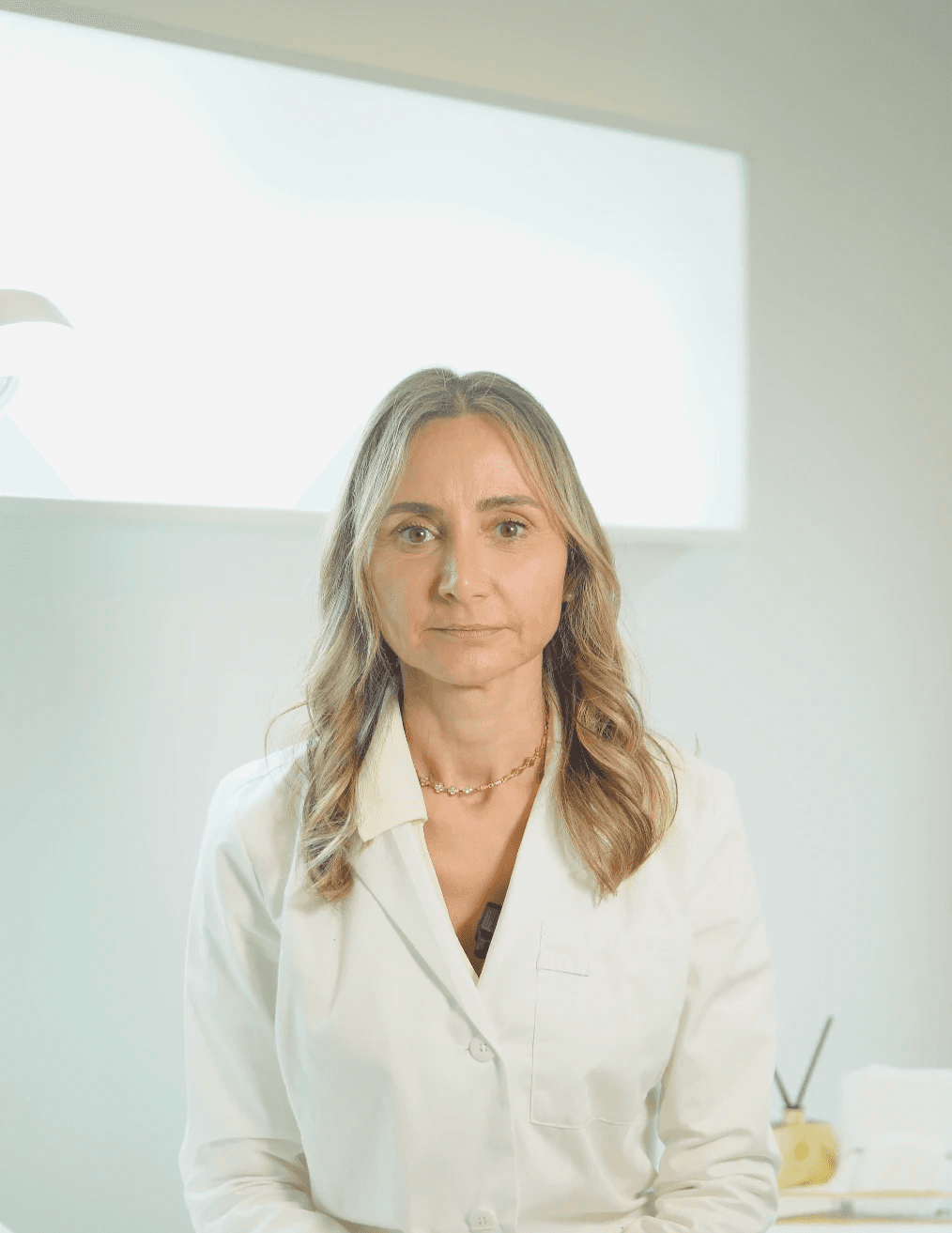Portrait of a small brown dog on yellow background
