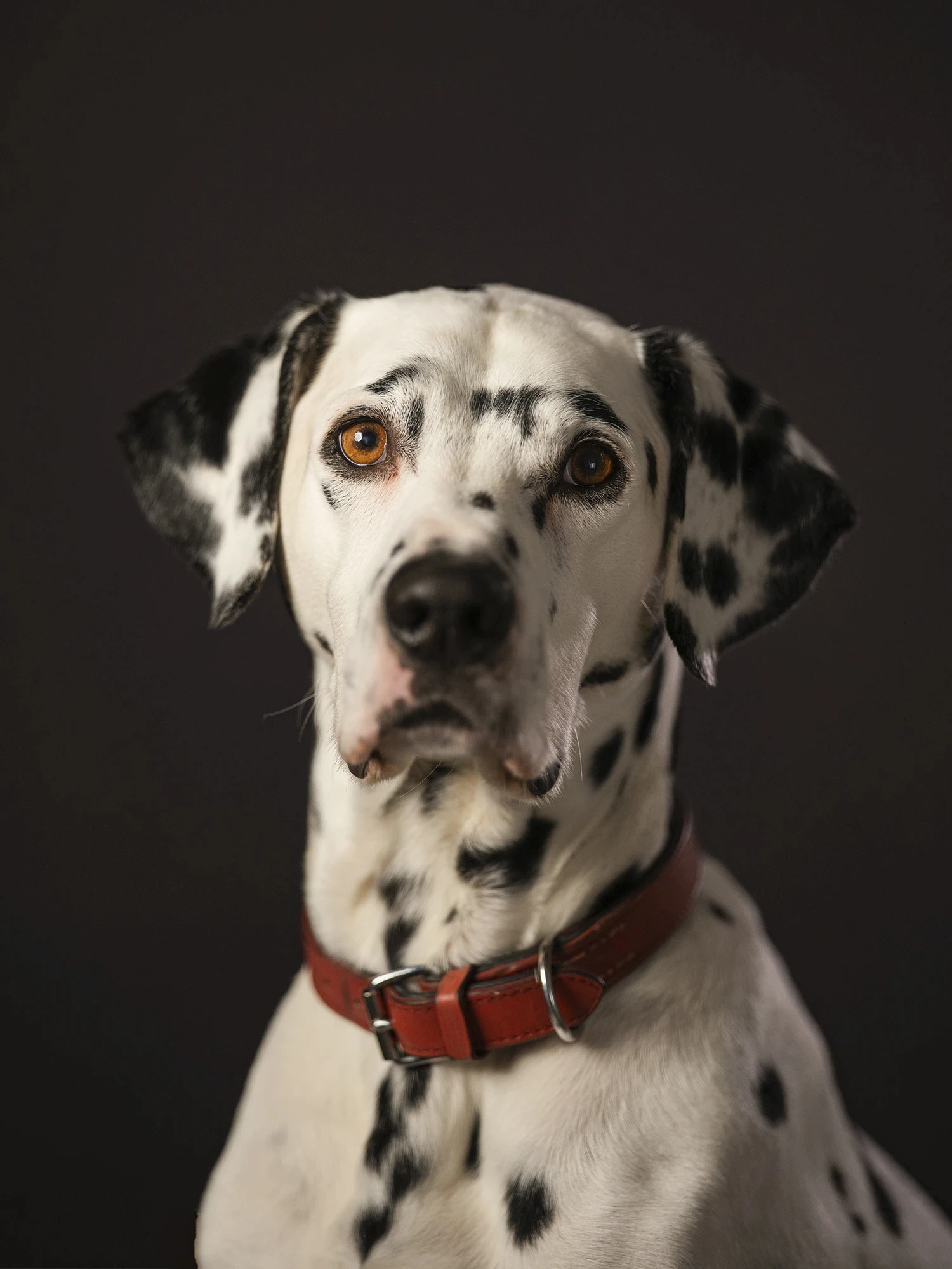 Fashion portrait photography