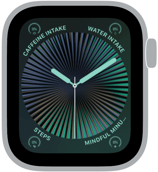 An Apple Watch face from the steady state collection