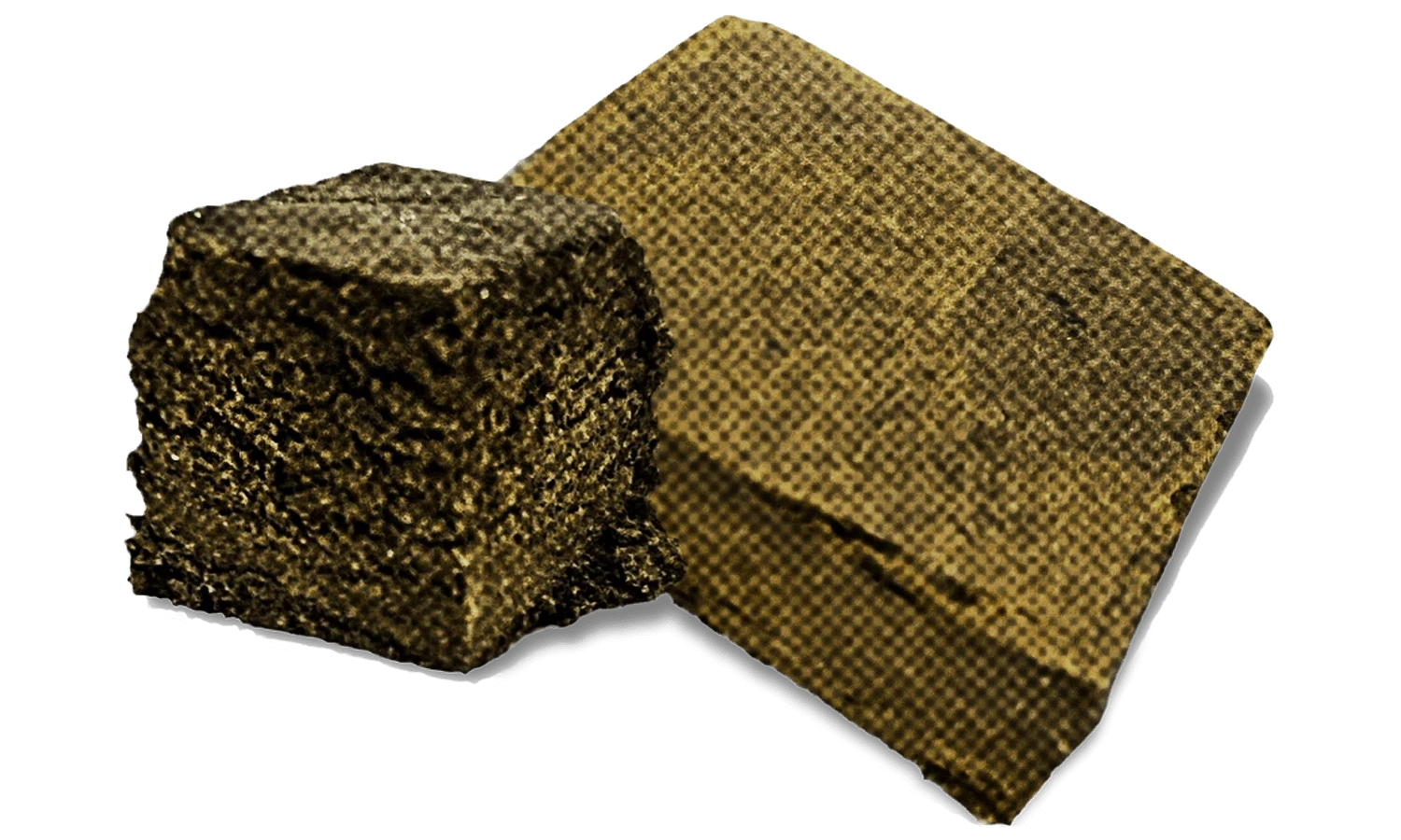 Afghaan
