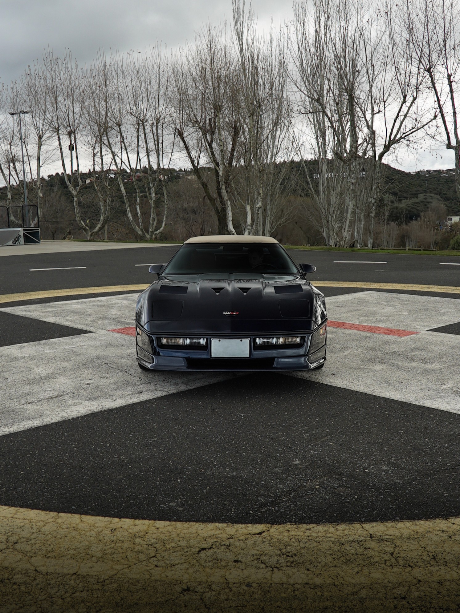 Large Project Gallery Image #1