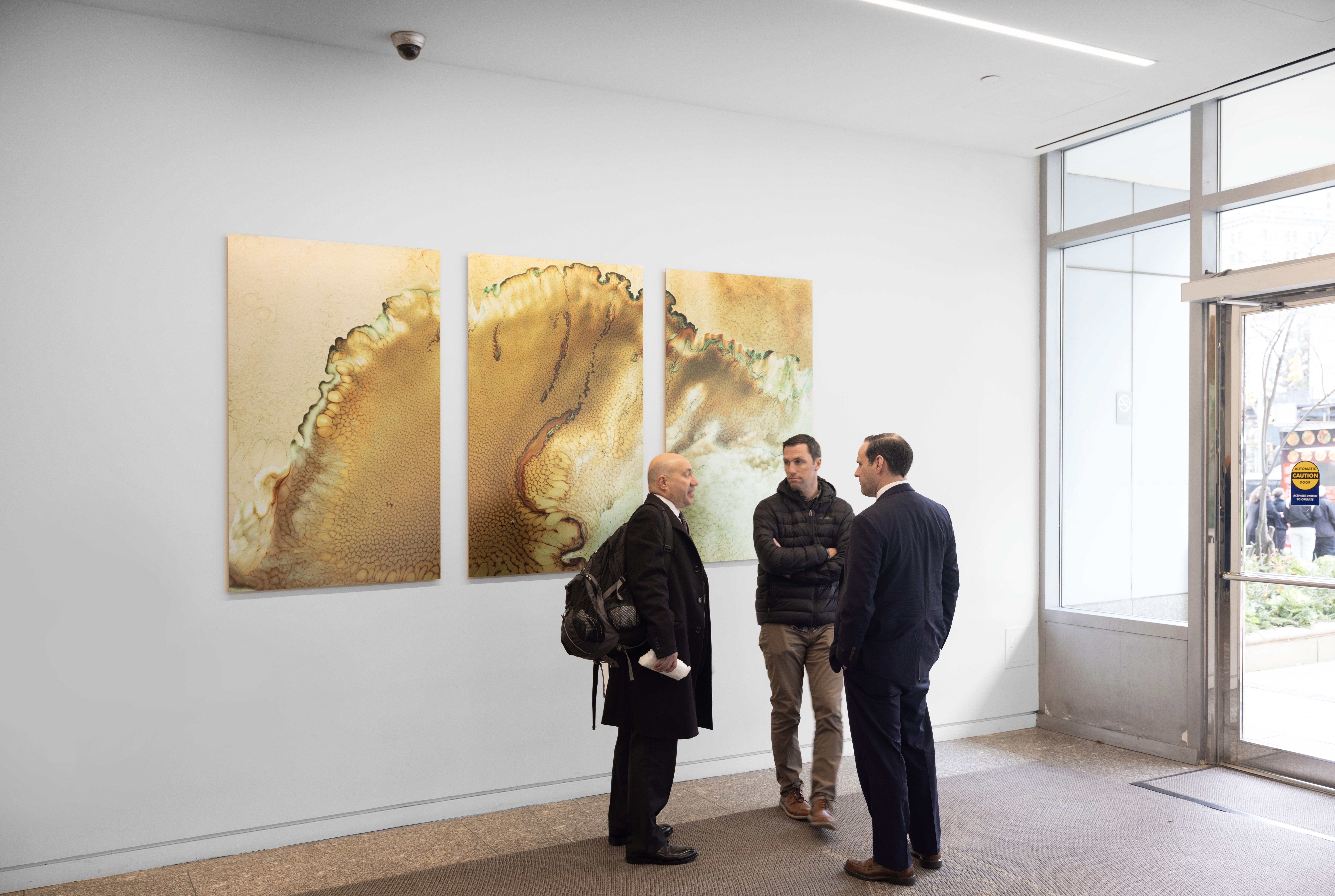 Echoes of Expression