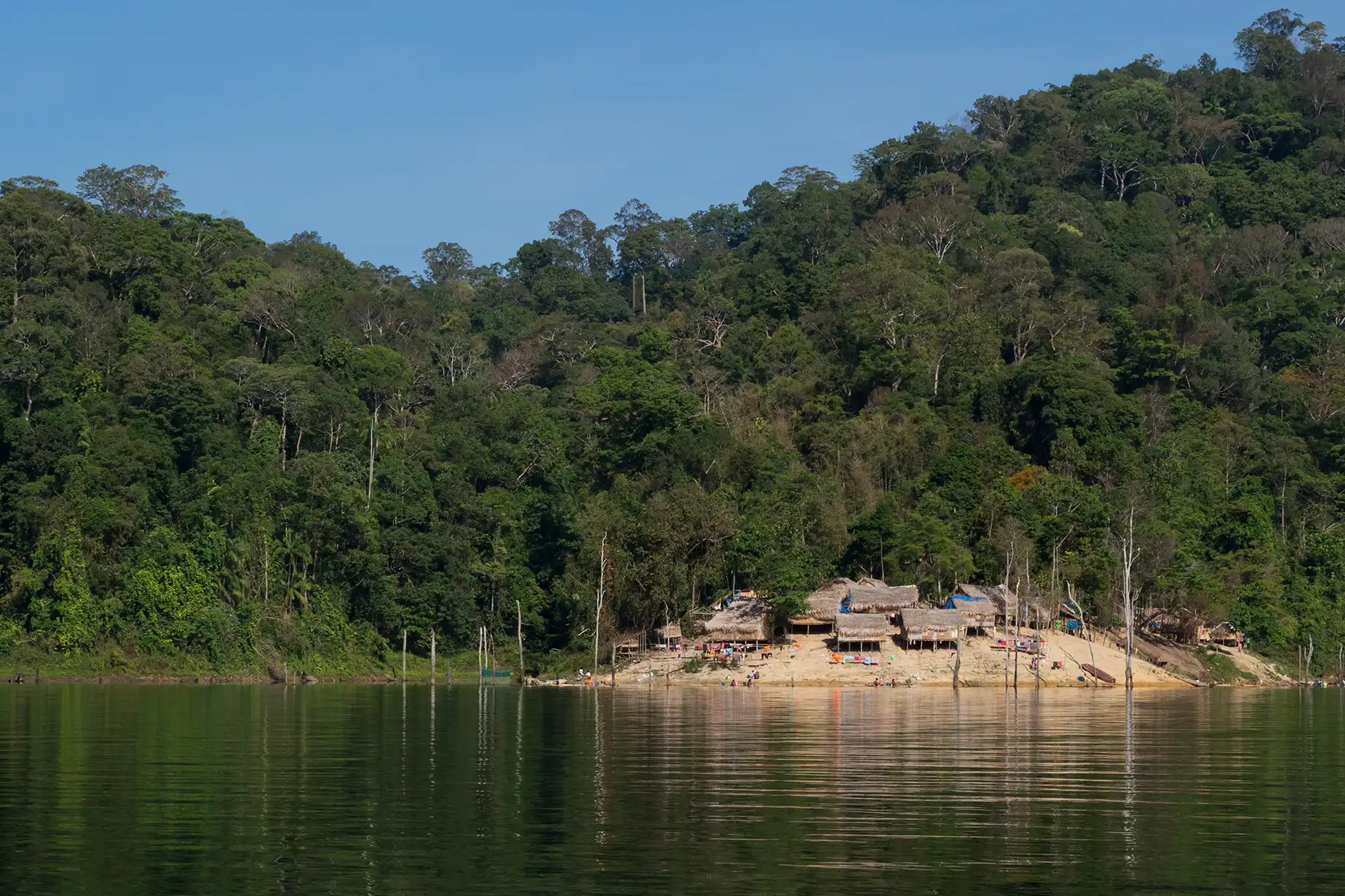 International Trade Inclusivity