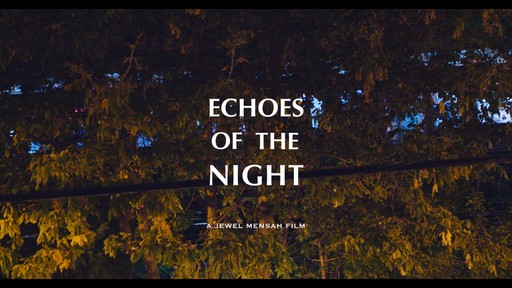 Echoes of the Night poster, designed by Jewel Mensah