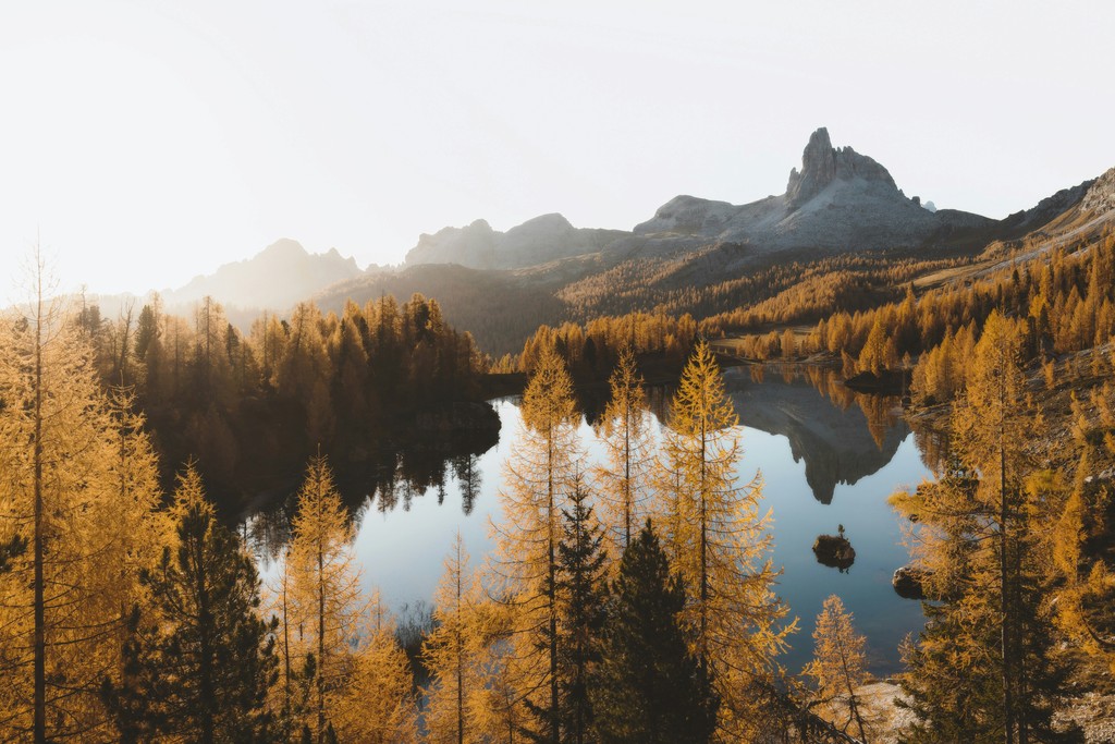 A lake surrounded by trees