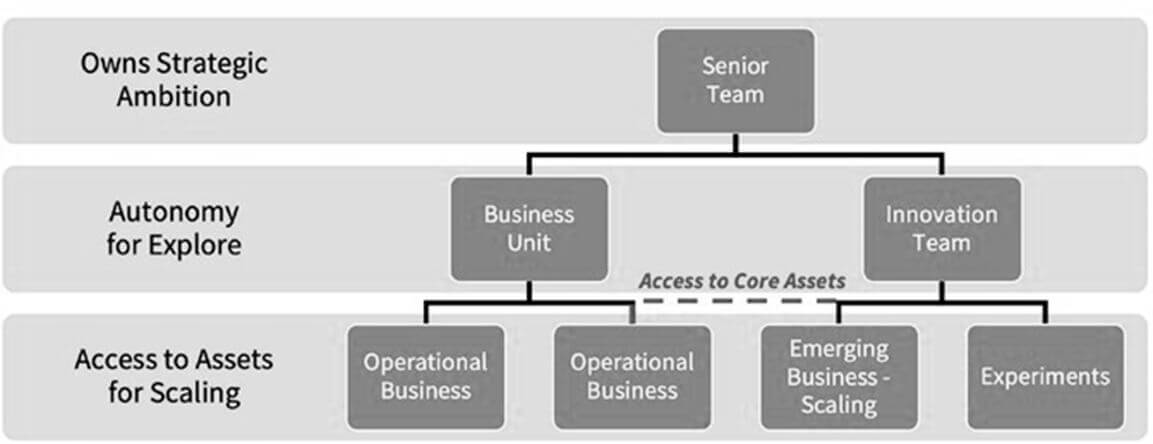 Diagram of an ambidextrous organizational structure by Change Logic