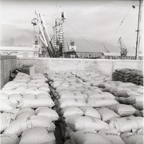 Complejo industrial de procesamiento de pescado "Tarapacá".