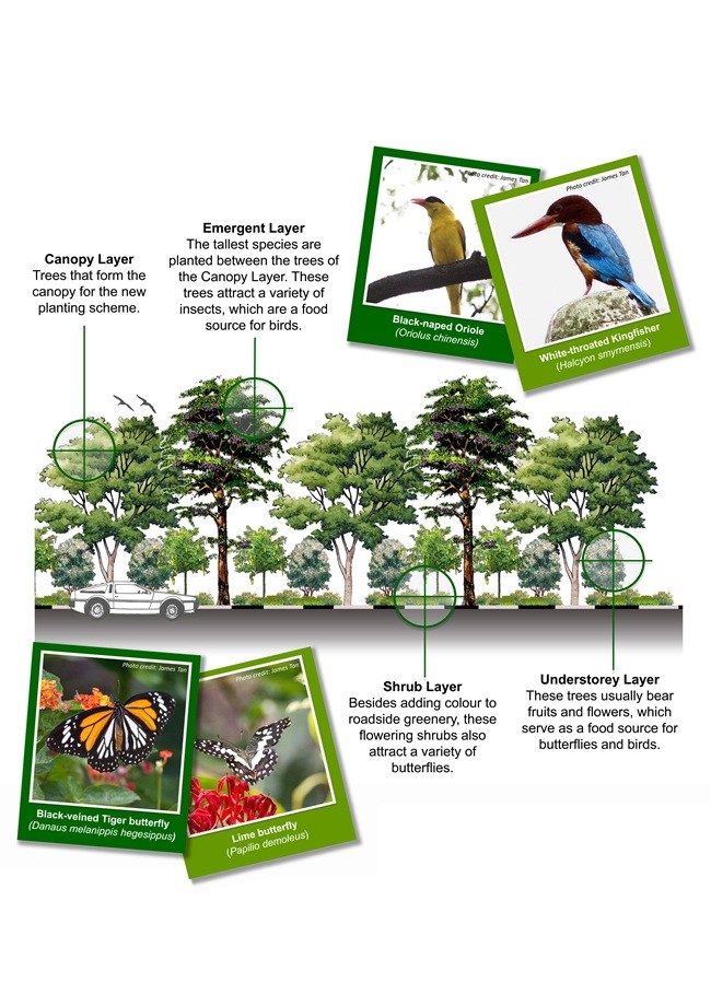 nature-ways