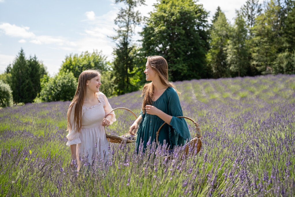 Lavender Farm Point Skyfall