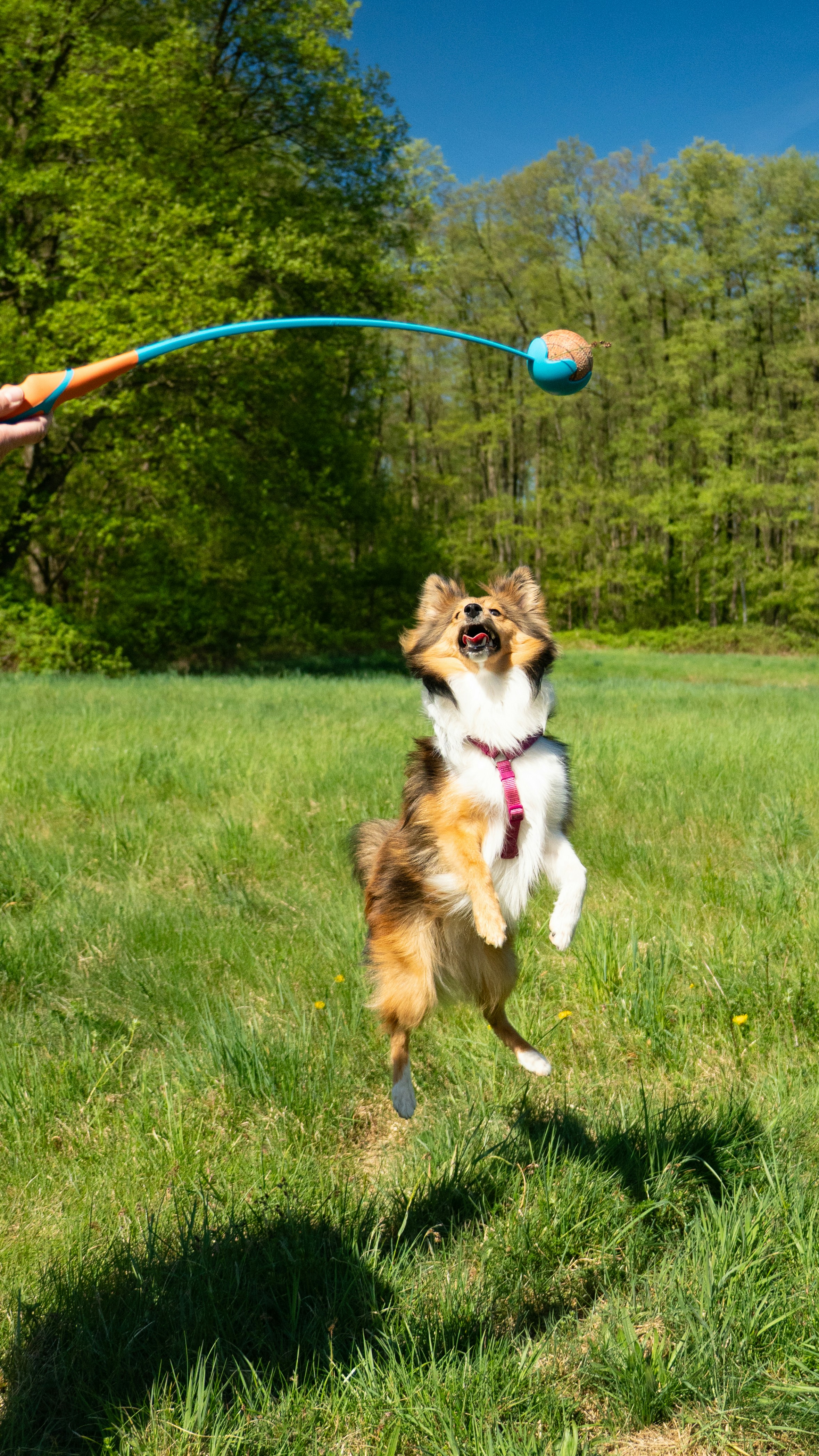 The image featured in the carousel #3