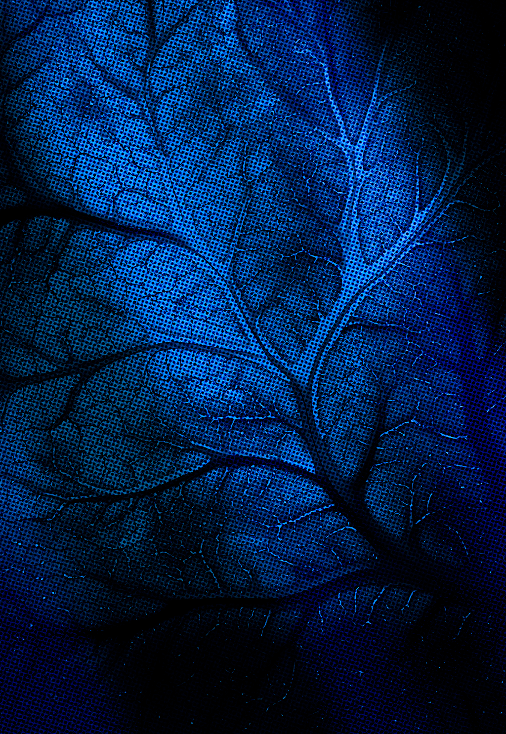 Artistic blue texture resembling leaf veins or an organic network, used for a Save the Date on sustainable development.
