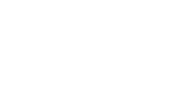 Near Foundation Logo