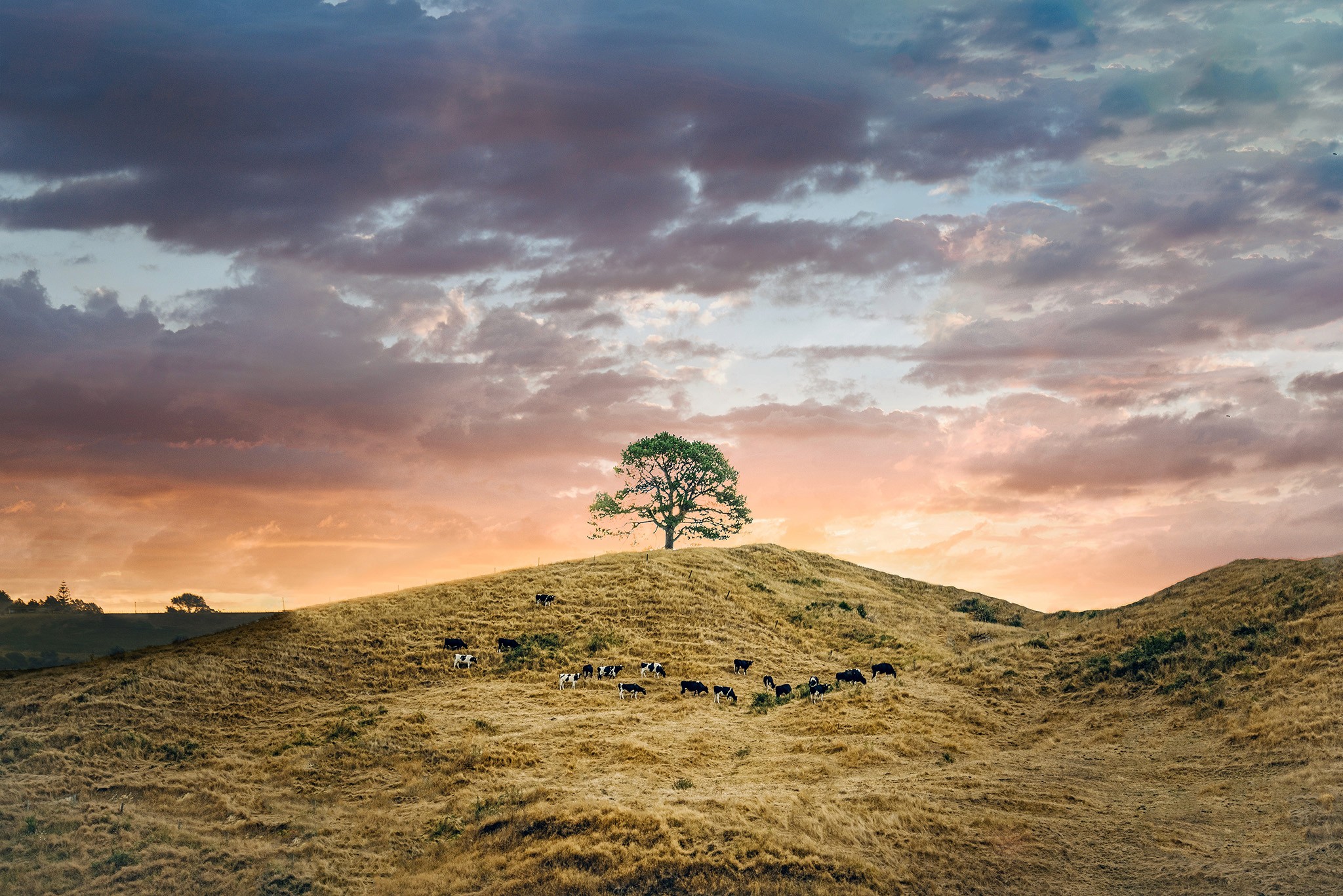 image of a woman on a trail