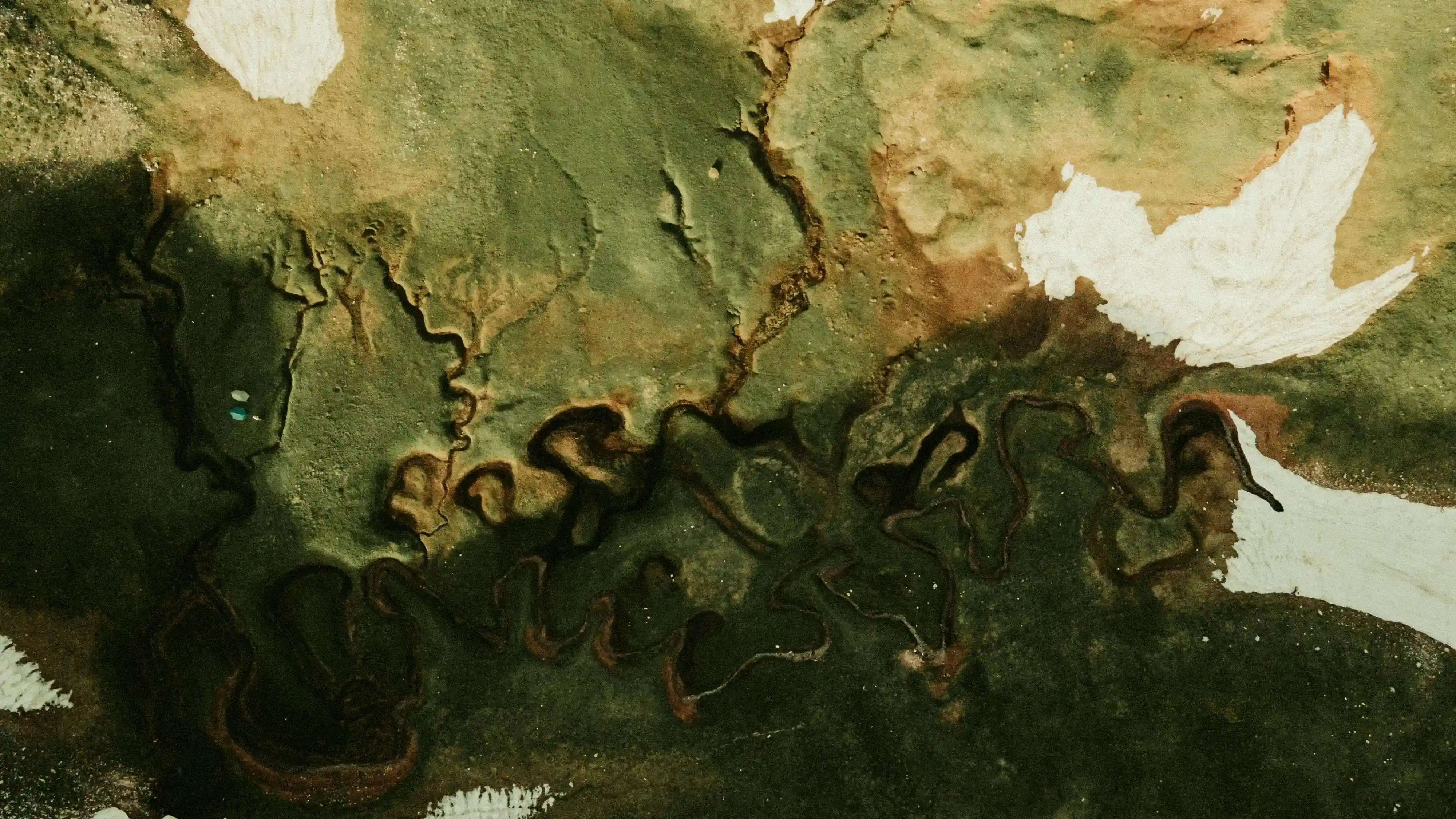 an aerial view of a grassland