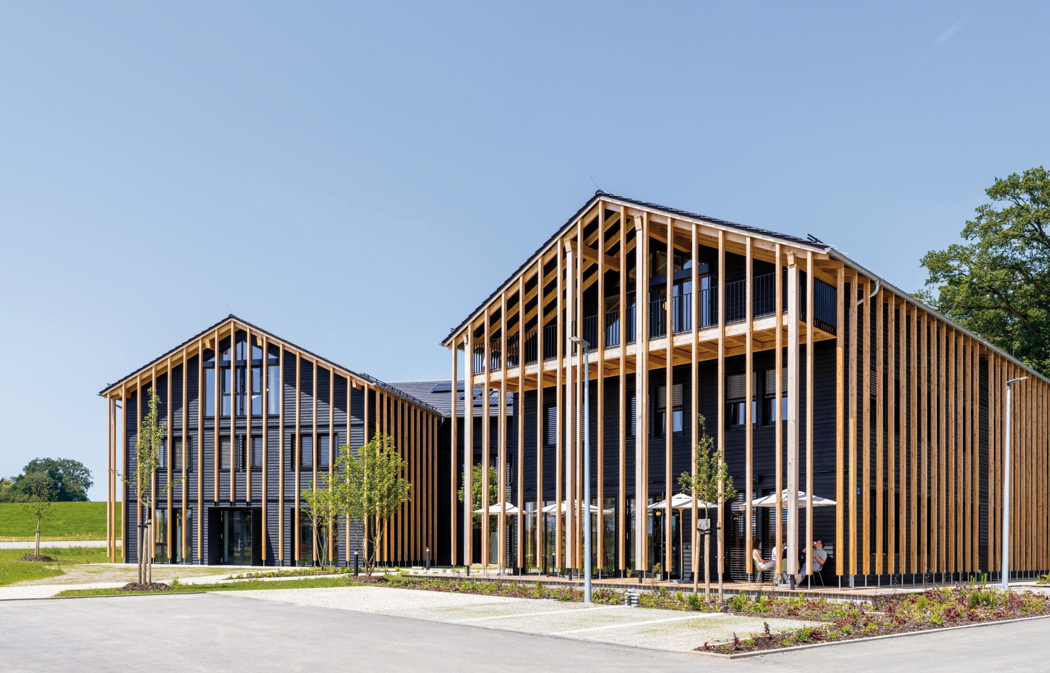 Moderne Holzarchitektur mit vertikaler Verkleidung vor blauem Himmel, zwei Gebäude mit viel Glas und Balkonen.