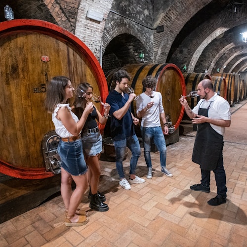 在歷史酒窖的品酒