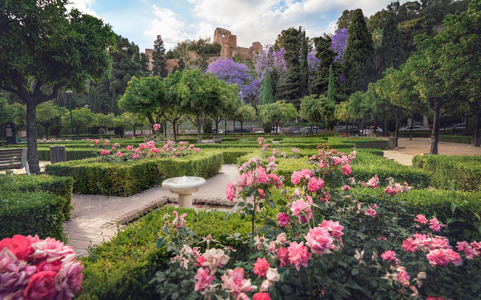Romersk teater og Alcazaba Slotshaver med blomstrende blomster og frodig grønne.