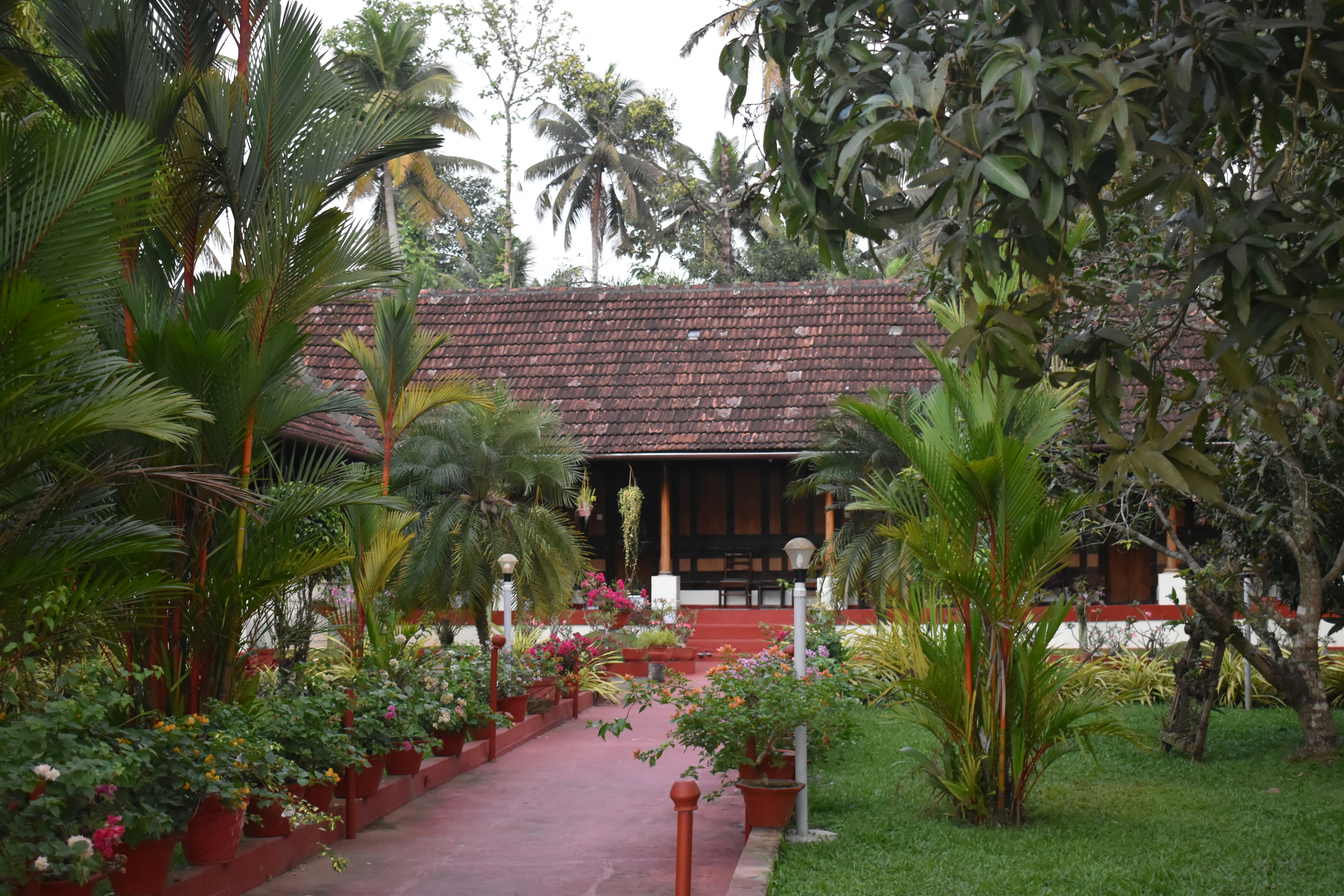 a house surrounded by lush green trees and plants