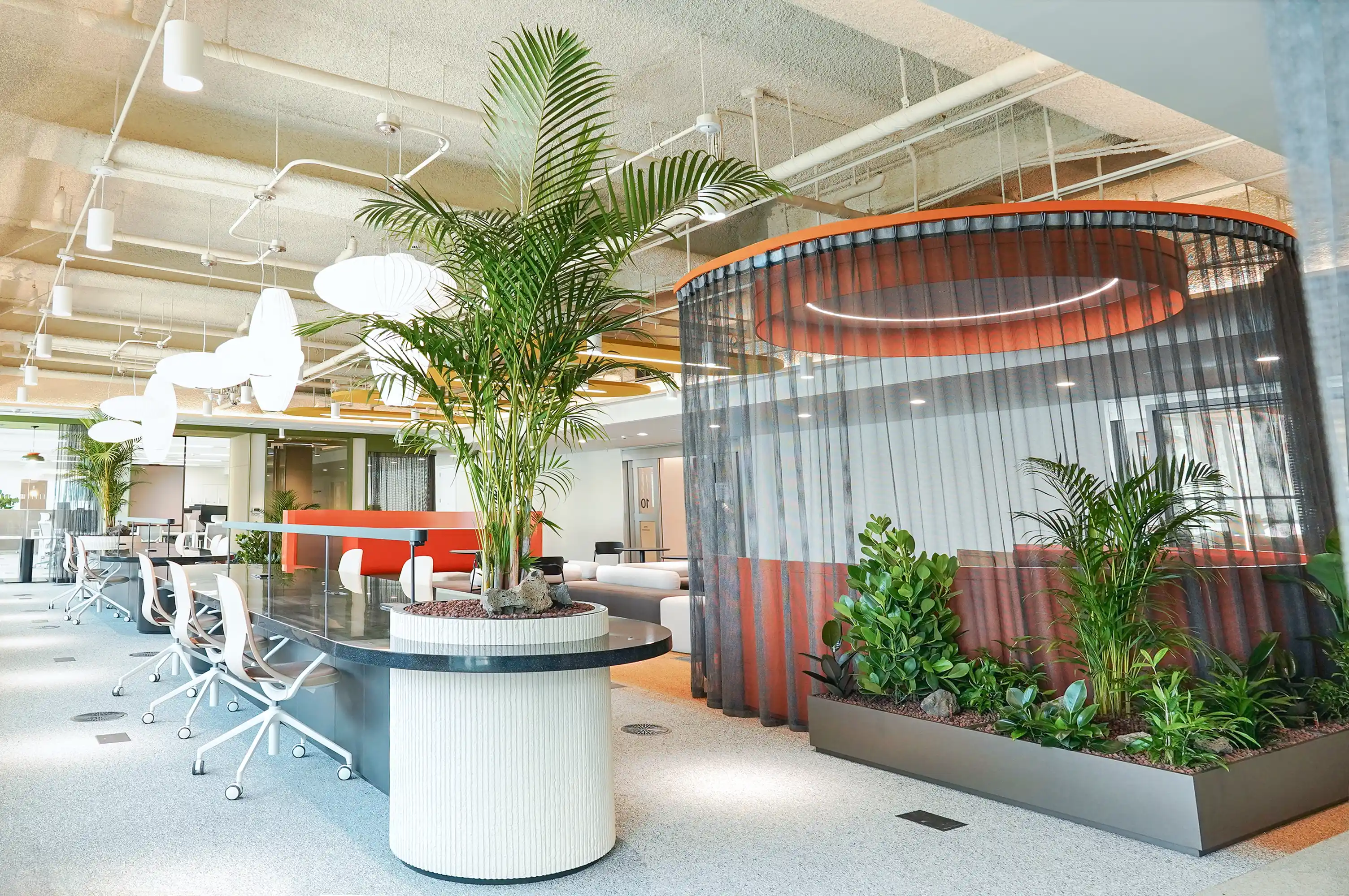 사옥 오피스 라운지 아레카야자 플랜터 플랜테리어