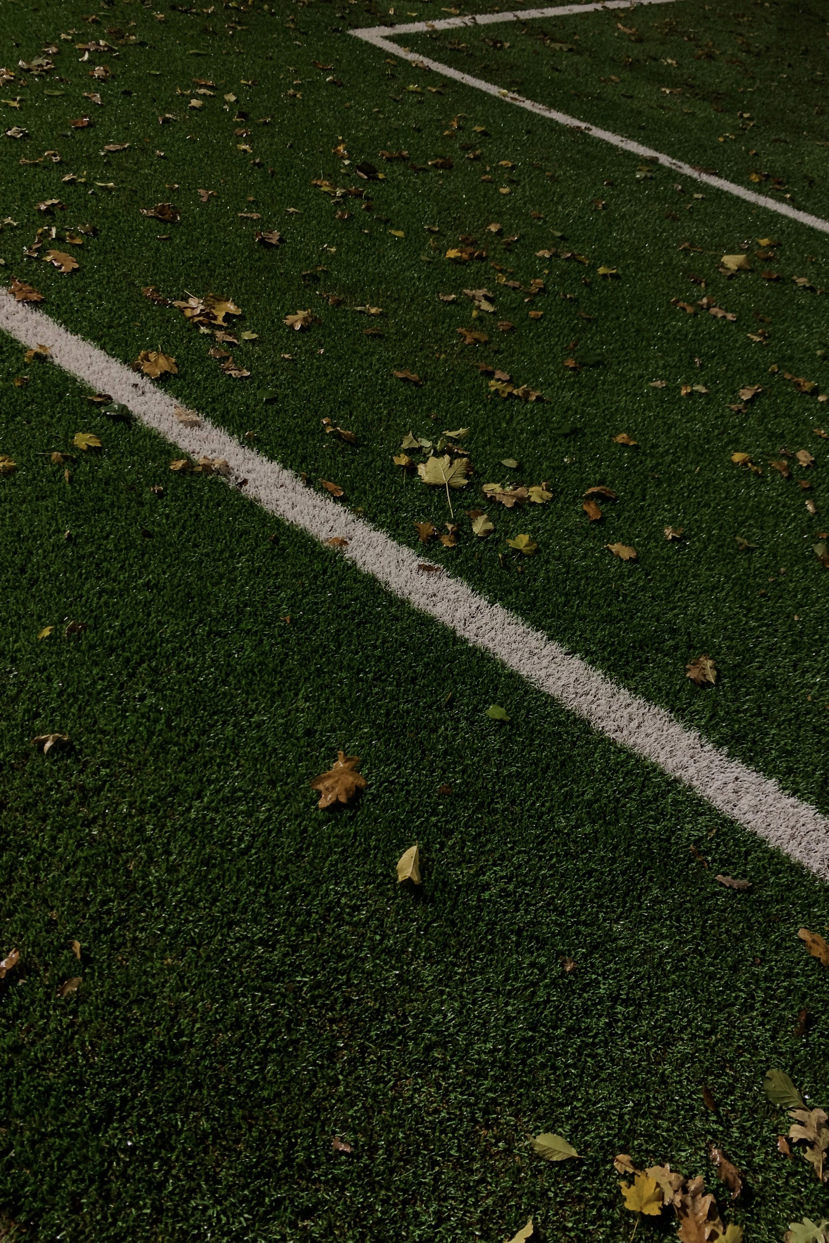 Eva Visser Fotografie Portet Familie Shoot