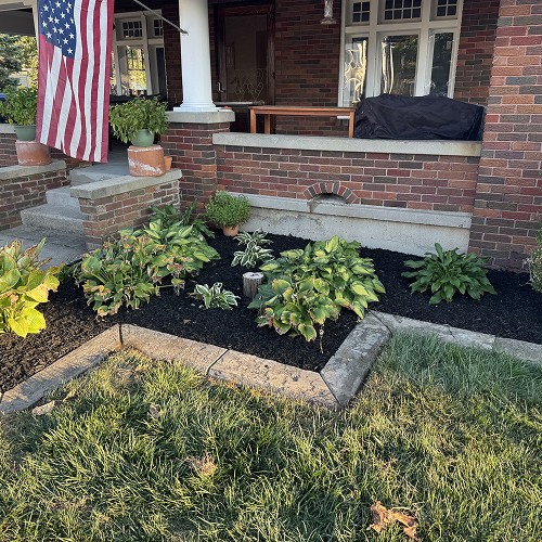 Freshly mulched flower bed