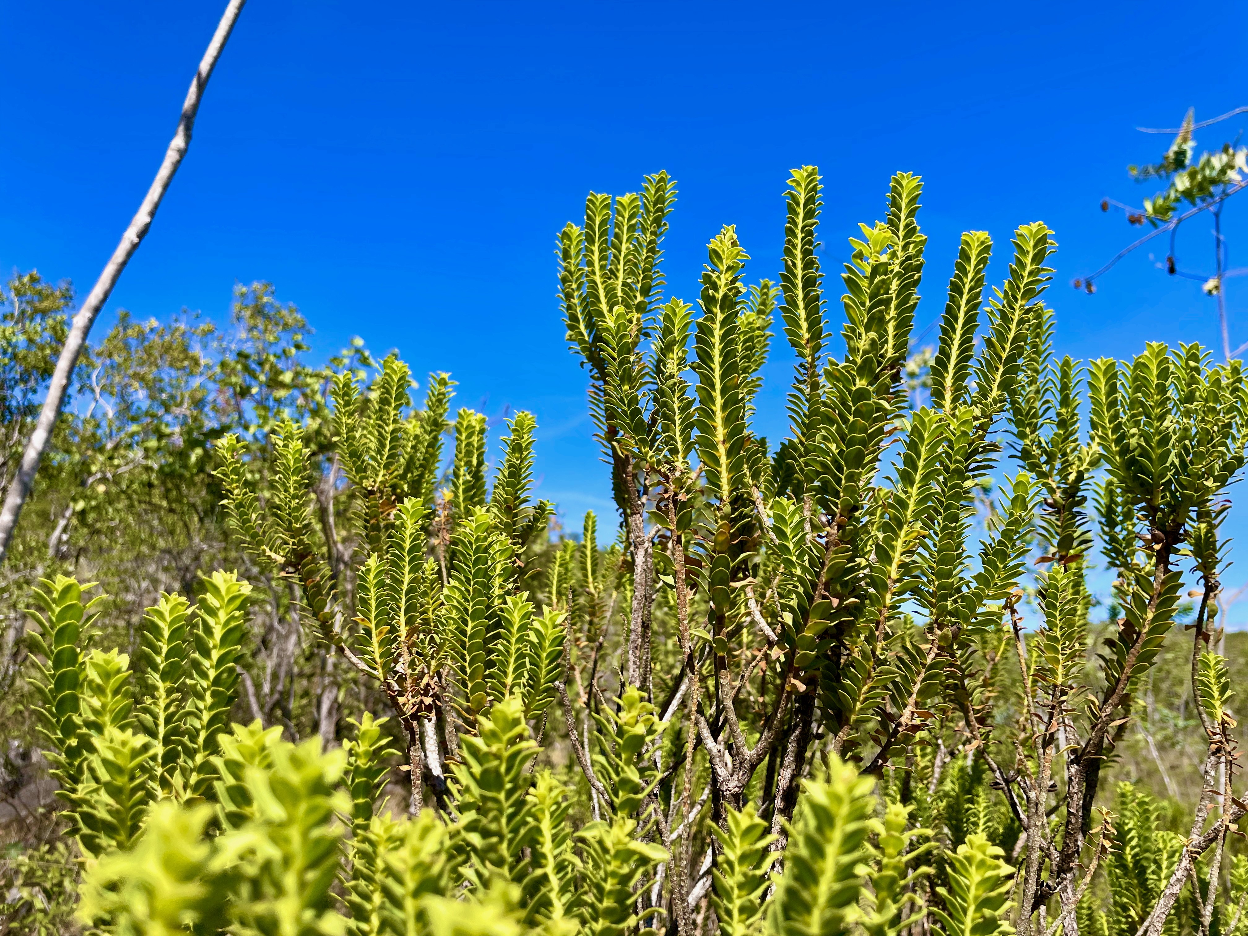 A group poses for a photo outdoors.