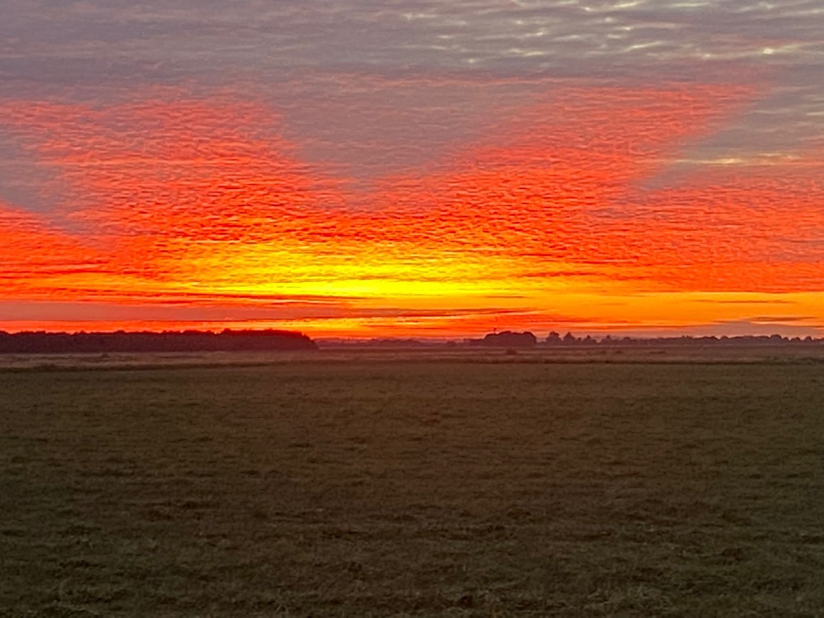 A vivid red and orange sunrise over a flat fenland field, with a dark silhouette of trees and farm buildings on the horizon.