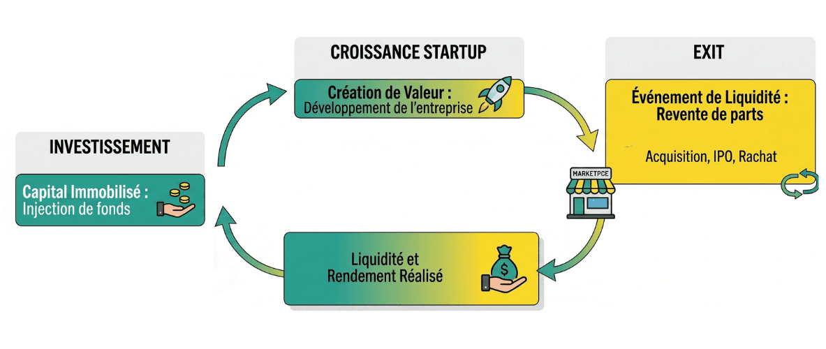 Schéma du cycle d’un investissement dans une startup non cotée montrant les étapes de l’investissement, croissance, exit et retour du capital à l’investisseur