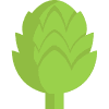 Carciofo