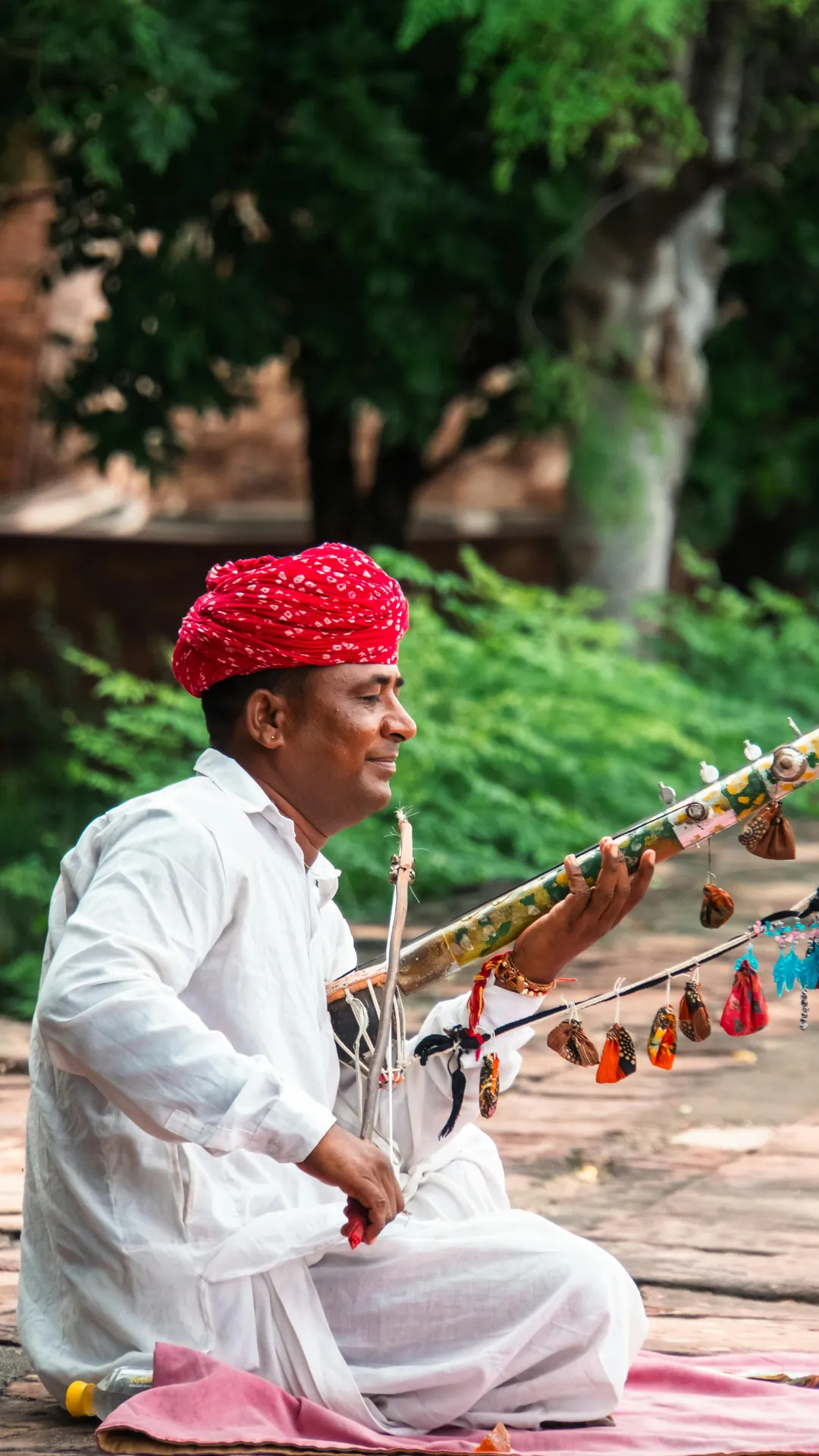 red train travelling near body of water