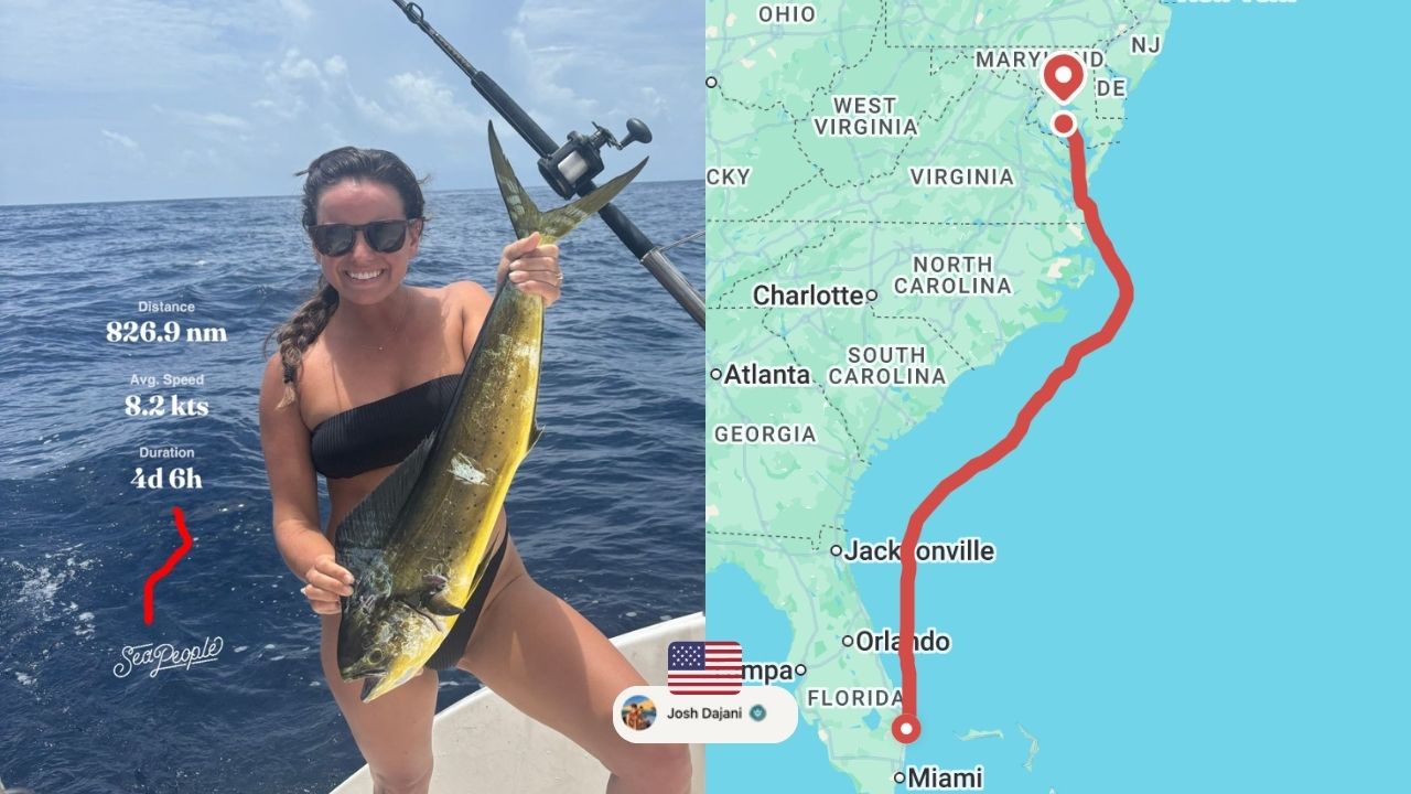 A woman on a sailboat catching a Mahi in Florida