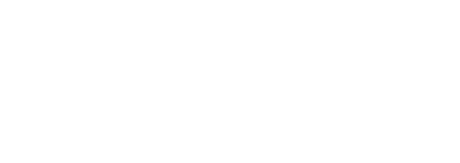 Intelligent Pathways full color logo