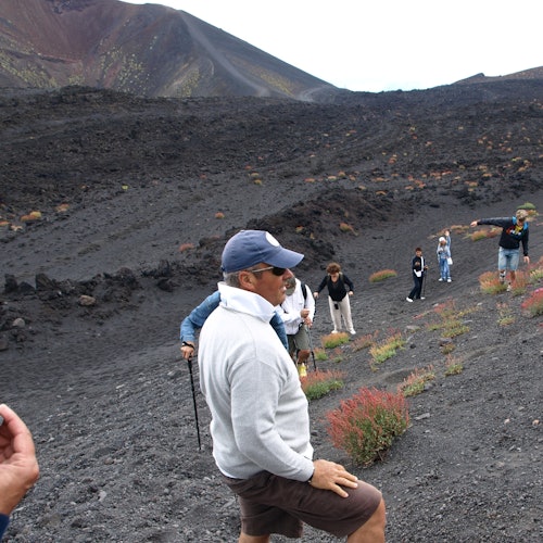 Monte Etna: Bilhetes para excursão de Catania em Nicolosi