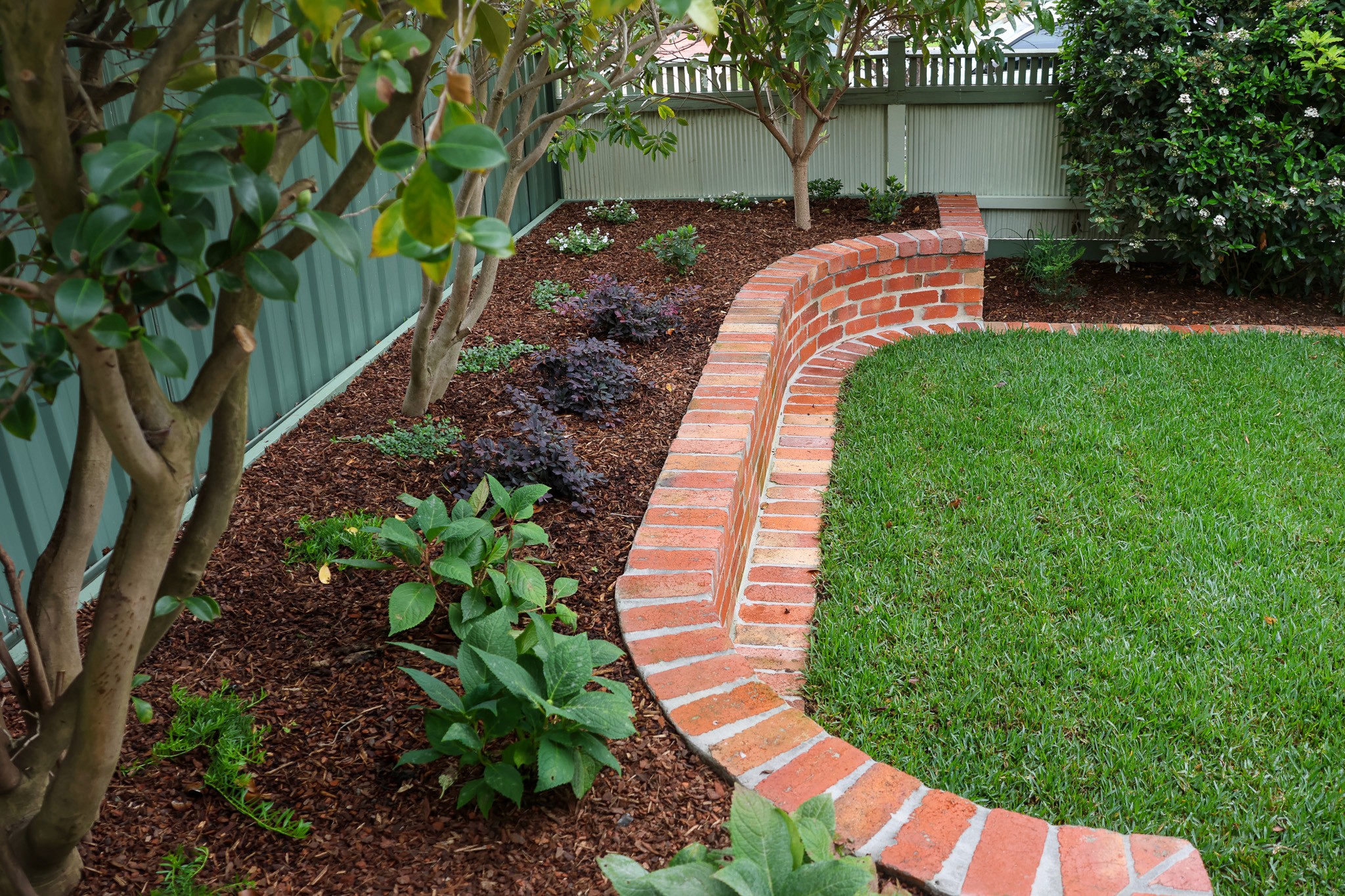 High-angle view of a newly landscaped garden bed filled with fresh mulch, layered shrubs, and young plants, neatly separated from a green lawn by a custom curved red brick retaining wall.