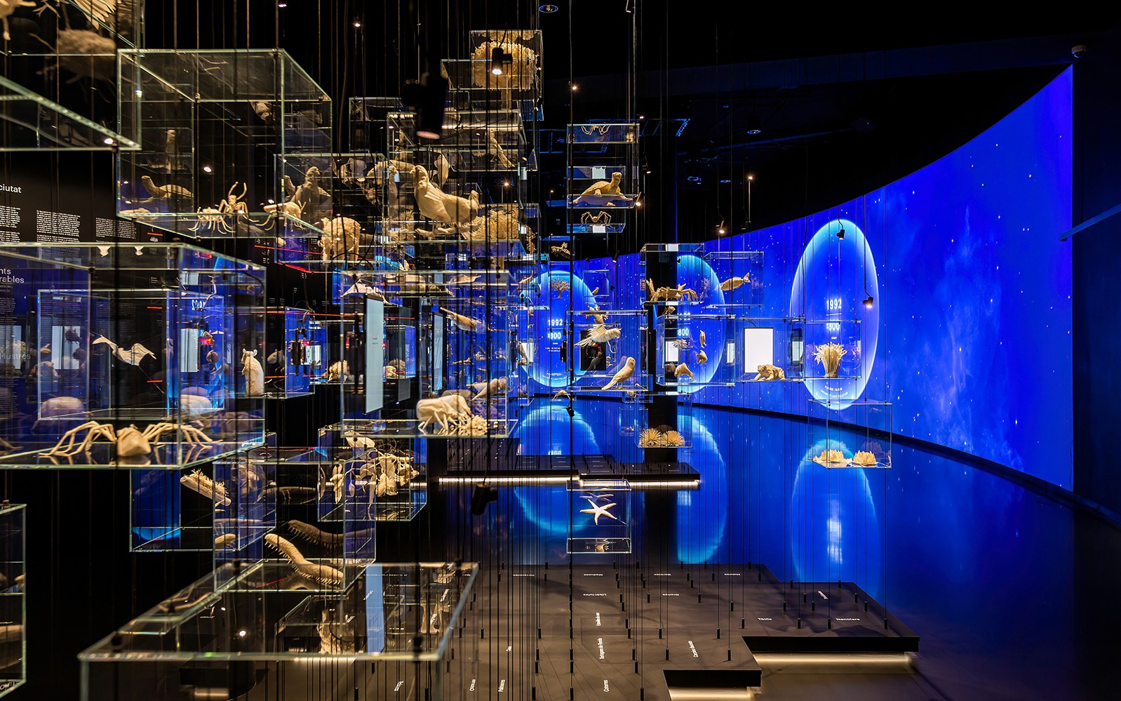 Glass displays with marine life exhibits at Torre Glories Lookout, Barcelona.