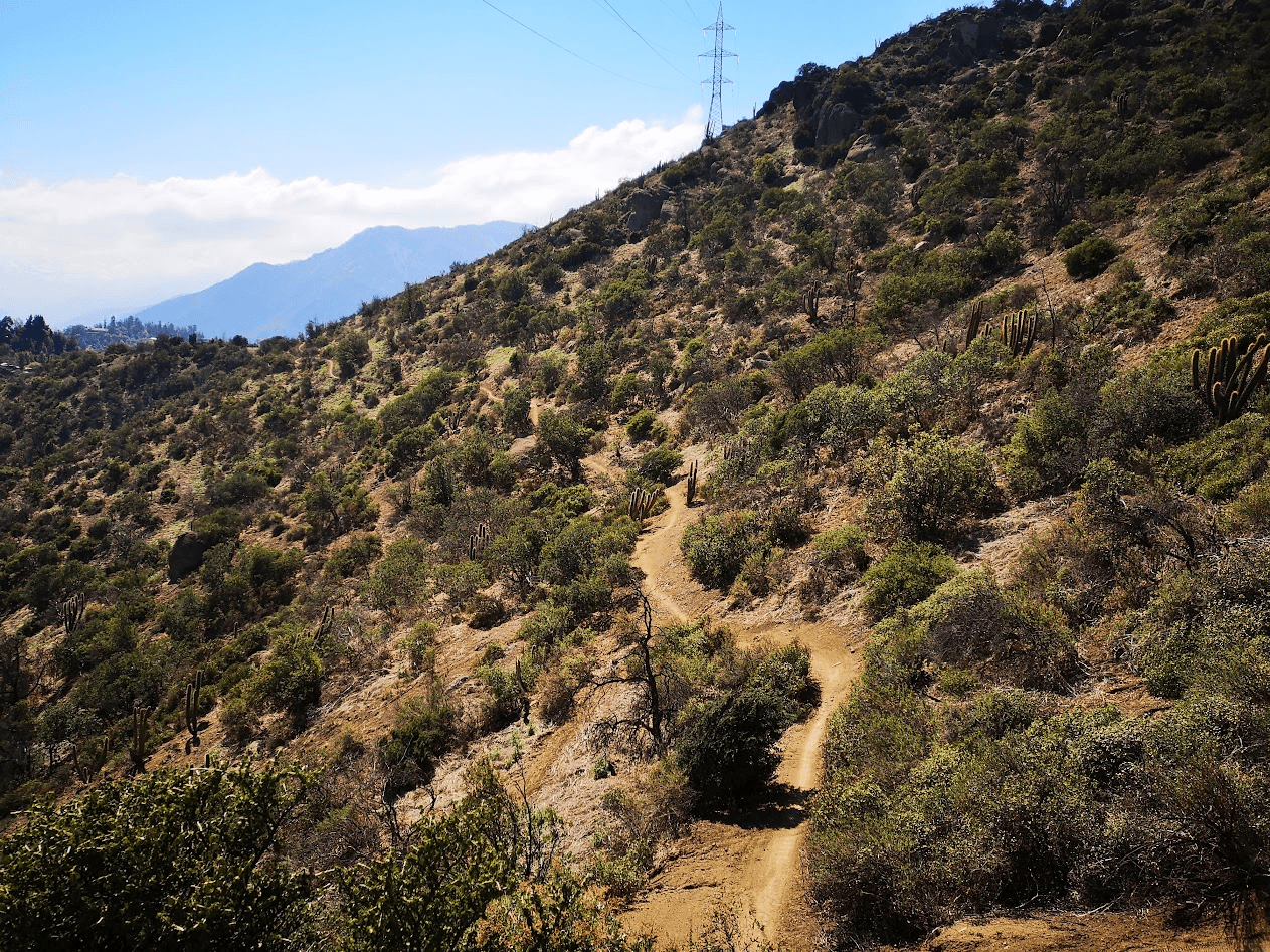 three children at the beach during golden hour