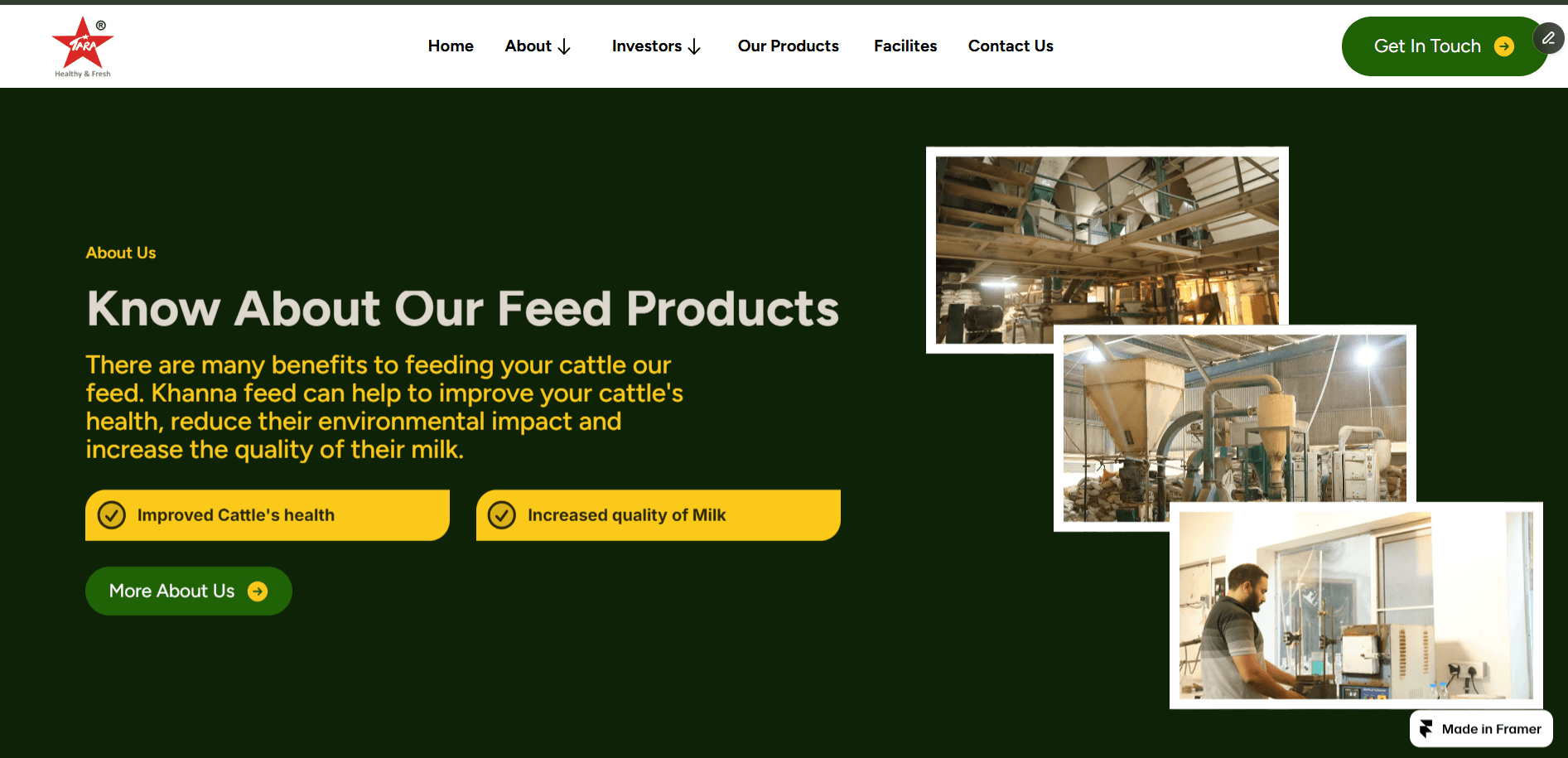 ZenADS is built to help businesses scale with precision through high-performing ad campaigns. In today’s competitive digital landscape, reaching the right audience and converting them into loyal customers is a challenge. ZenADS combines data-driven targeting with creative strategy, delivering Facebook & Instagram ads that cut through the noise and generate consistent traffic, leads, and sales.