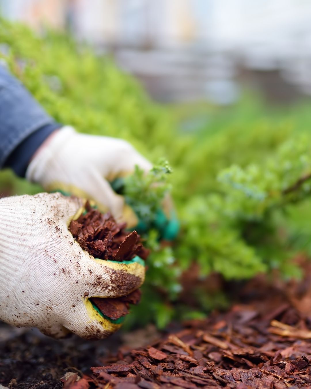How Can We Help With Residential Mulch Installation