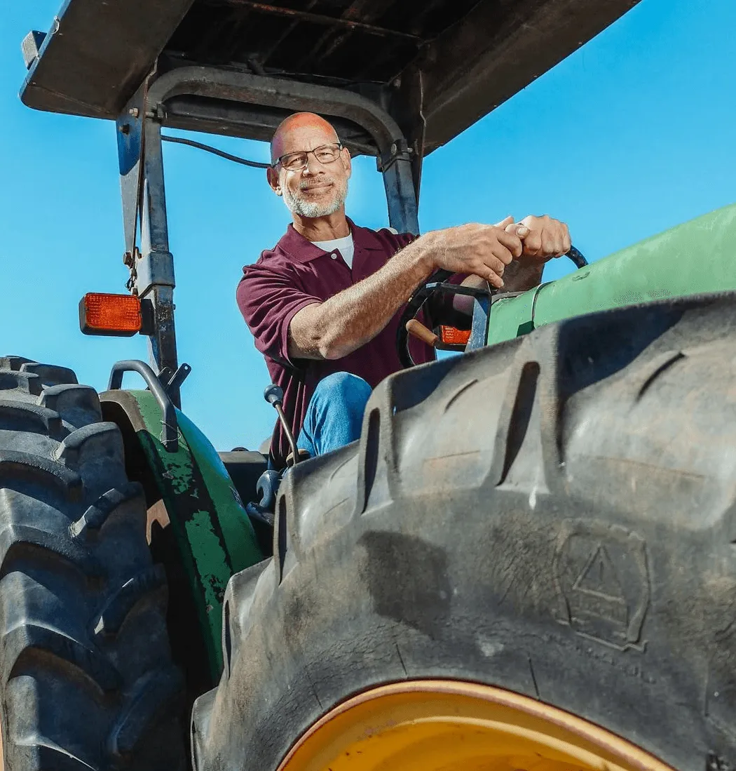 A degustation stand with wine and cheese