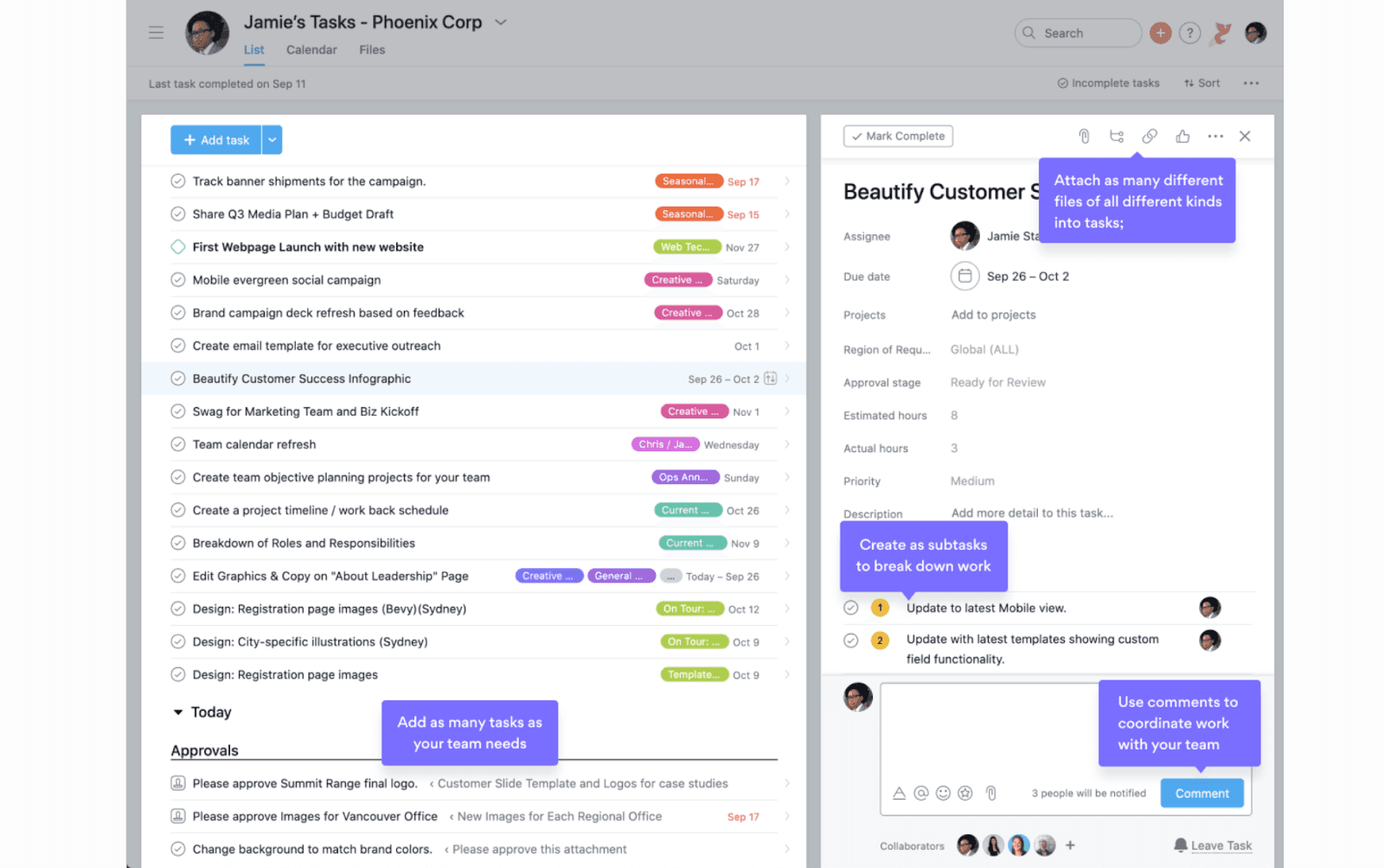  Asana dashboard overview
