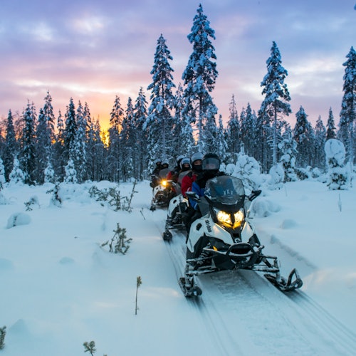 Snowmobile & Animals Day Tour
