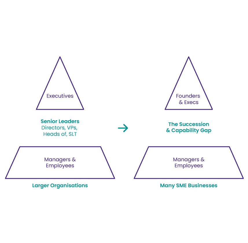 Purple and turquoise graphics, explaining SME businesses