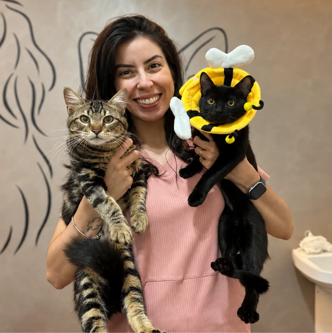 Capa do serviço de Veterinário para gato na Mooca com a estrutura da Way Care