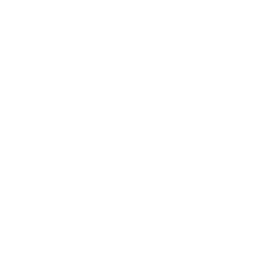 Windows Logo: Microsoft Operating System