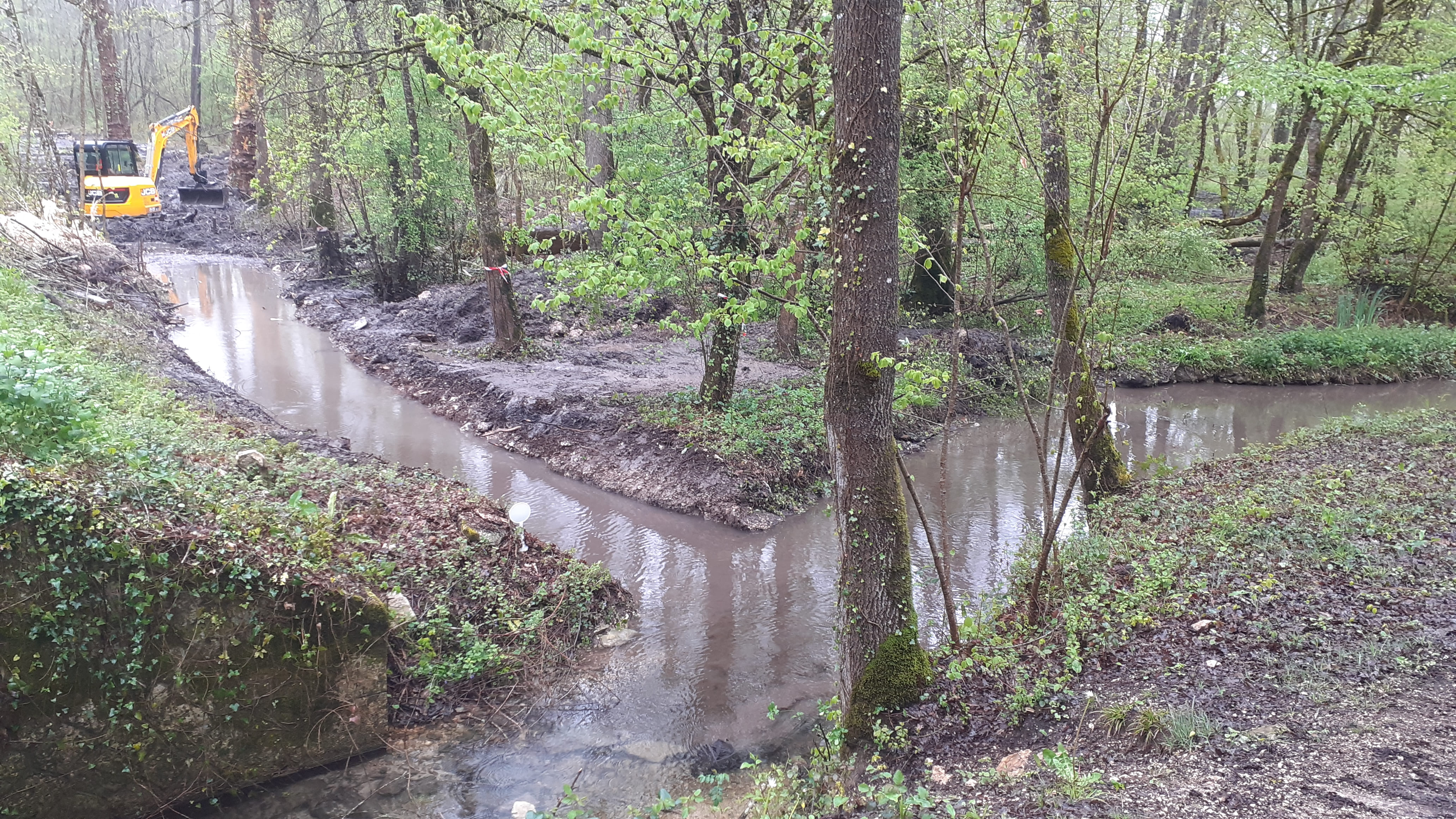 Entretien des berges de cours d'eau