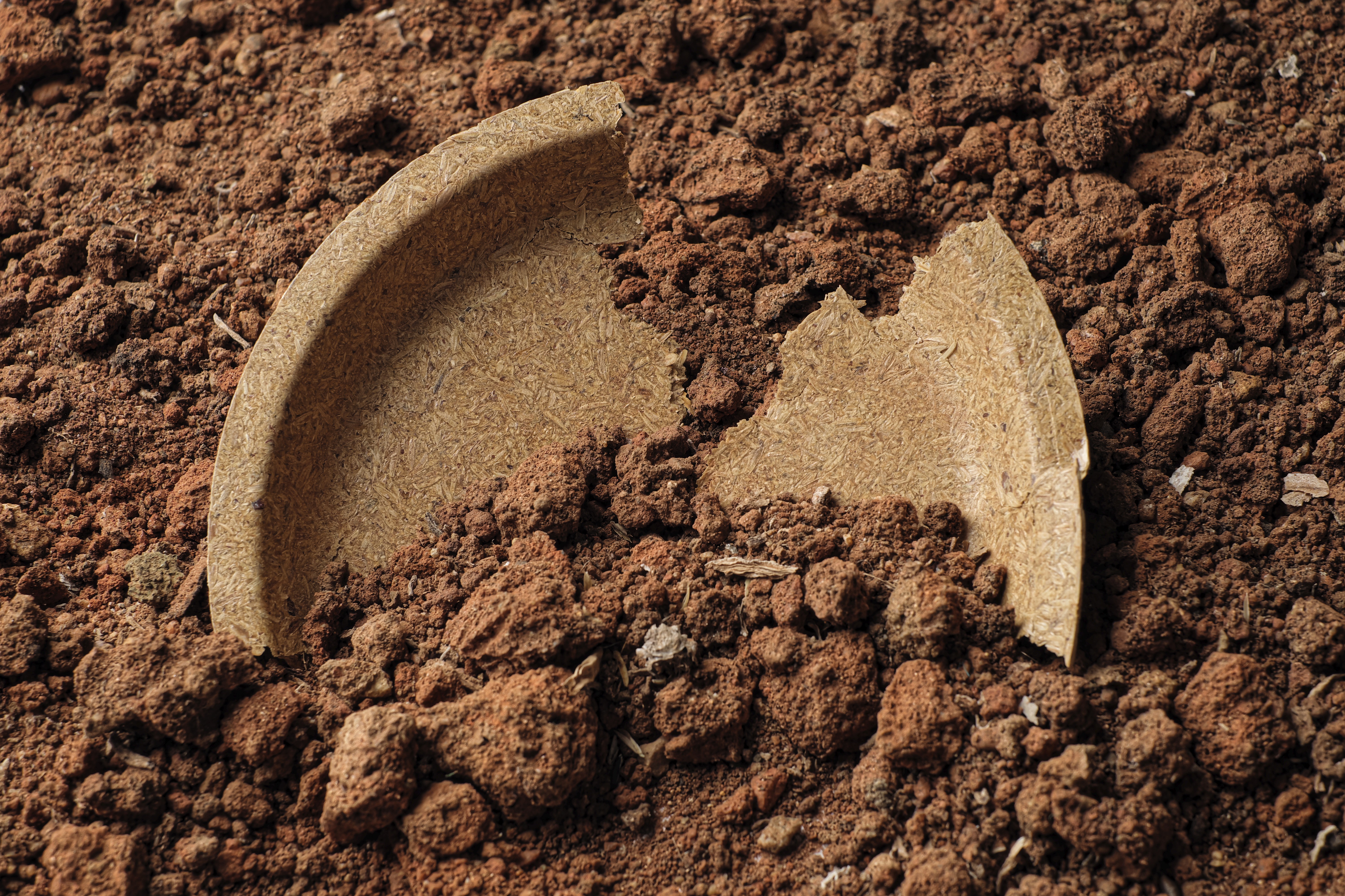 Earth Wing Plate in Soil